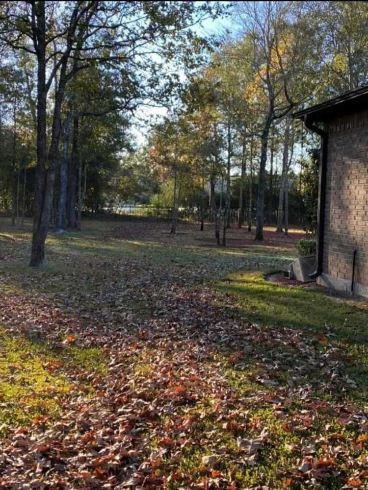 Expert lawn care service for residential properties across Houston, TX - Rain or Shine Lawns & Landscaping