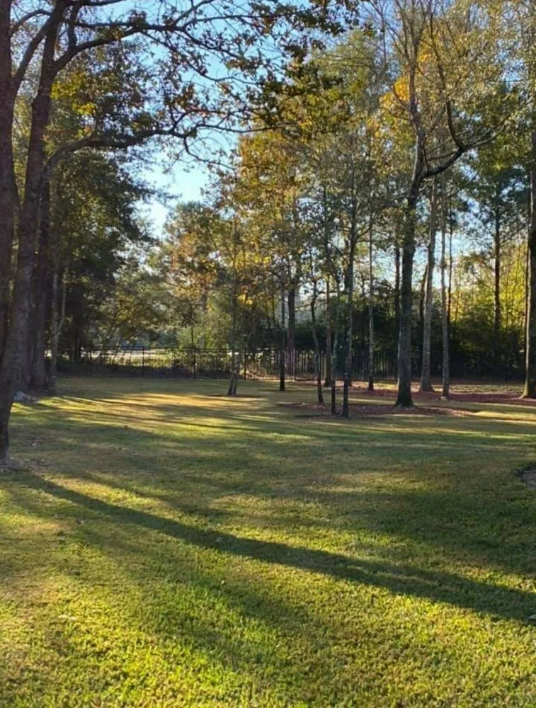 Professional lawn mowing service in Houston, TX - Rain or Shine Lawns & Landscaping