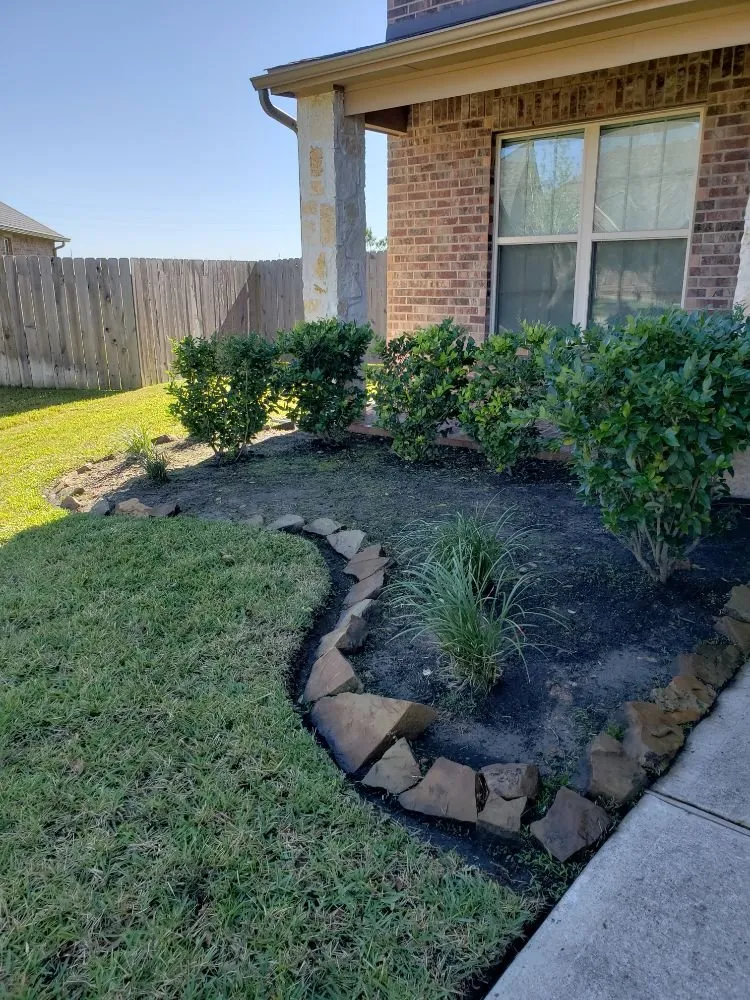 Expert lawn care service in Houston, TX by Rain or Shine Lawns & Landscaping