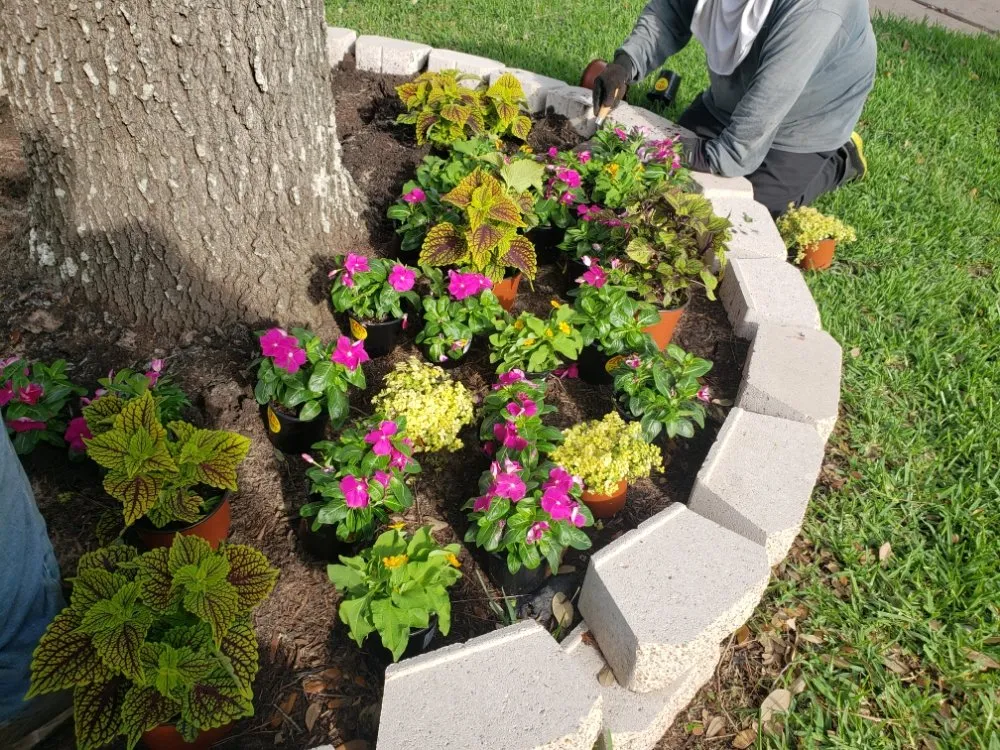 Reliable landscaping services for outdoor upgrades across Houston, TX - Rain or Shine Lawns & Landscaping