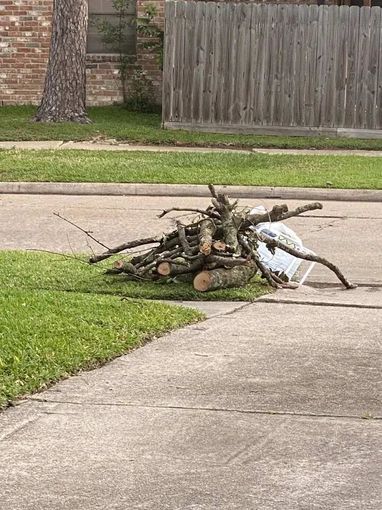 Professional yard cleanup service near you in Houston, TX by Rain or Shine Lawns & Landscaping