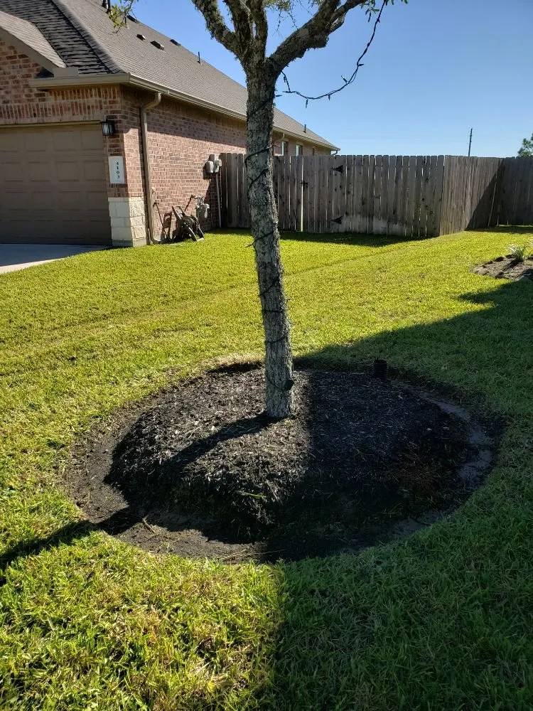 Local yard maintenance in Houston, TX - Rain or Shine Lawns & Landscaping