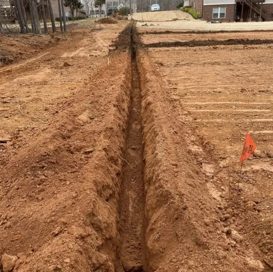 Affordable yard cleanup service for year-round maintenance in Woodstock, GA by Rain Or Shine Solutions