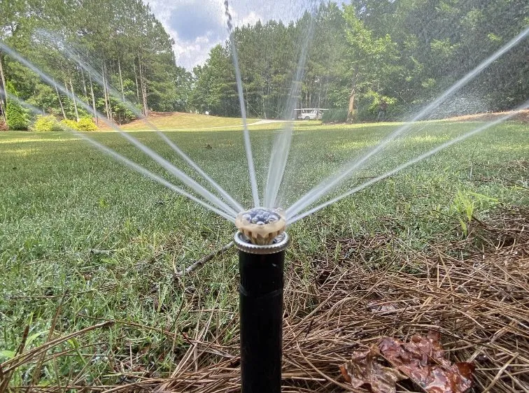 Top-rated lawn care service for year-round maintenance in Woodstock, GA by Rain Or Shine Solutions