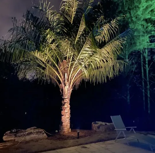 Reliable yard maintenance experts serving Woodstock, GA - Rain Or Shine Solutions