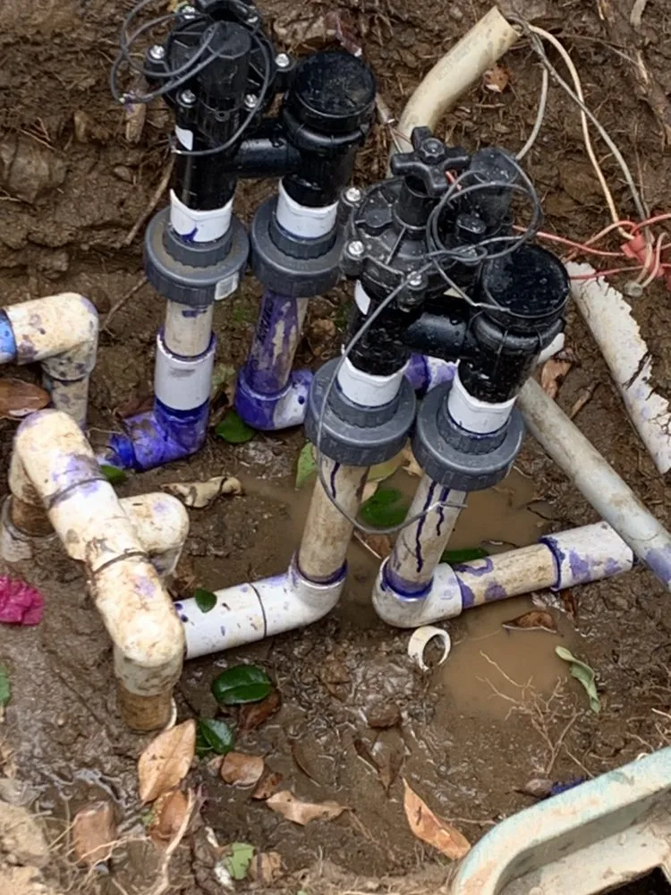 Reliable yard maintenance for beautiful yards in Alpine, CA by Rain Professional Landscape Services