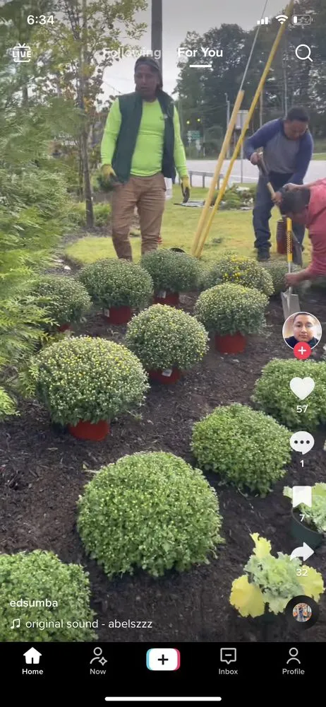 Professional lawn mowing service in Alpine, CA - Rain Professional Landscape Services