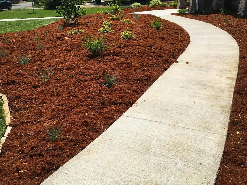 Reliable landscaping services for homes across Alpine, CA - Rain Professional Landscape Services