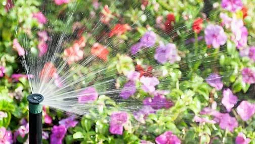 Custom lawn mowing service experts serving Greenlawn, NY - Rain Rich Lawn Sprinklers