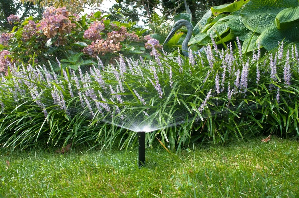 Expert lawn care service experts serving Greenlawn, NY - Rain Rich Lawn Sprinklers