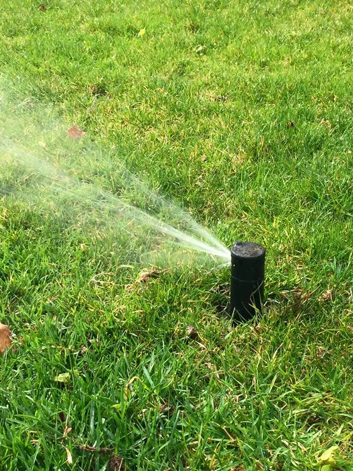 Top-rated landscape design experts serving Greenlawn, NY - Rain Rich Lawn Sprinklers