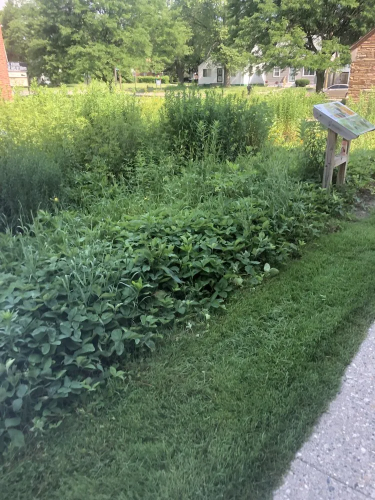 Professional yard maintenance with custom design across Detroit, MI - Rain Roots Collective