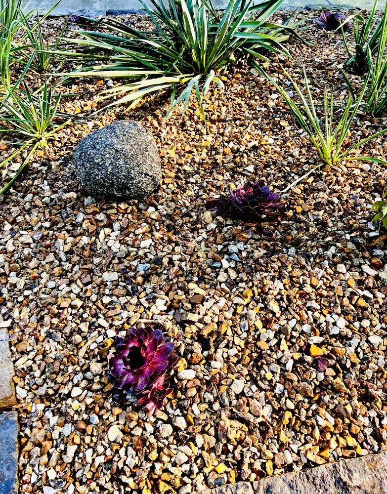 Local yard cleanup service with custom design across Lincoln, NE - Rain, Sun & Us Landscaping