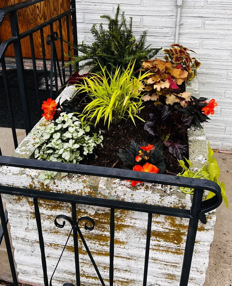 Trusted lawn care service in Lincoln, NE by Rain, Sun & Us Landscaping