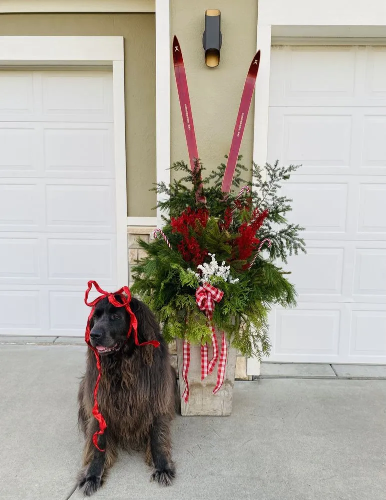 Expert lawn mowing service experts serving Lincoln, NE - Rain, Sun & Us Landscaping