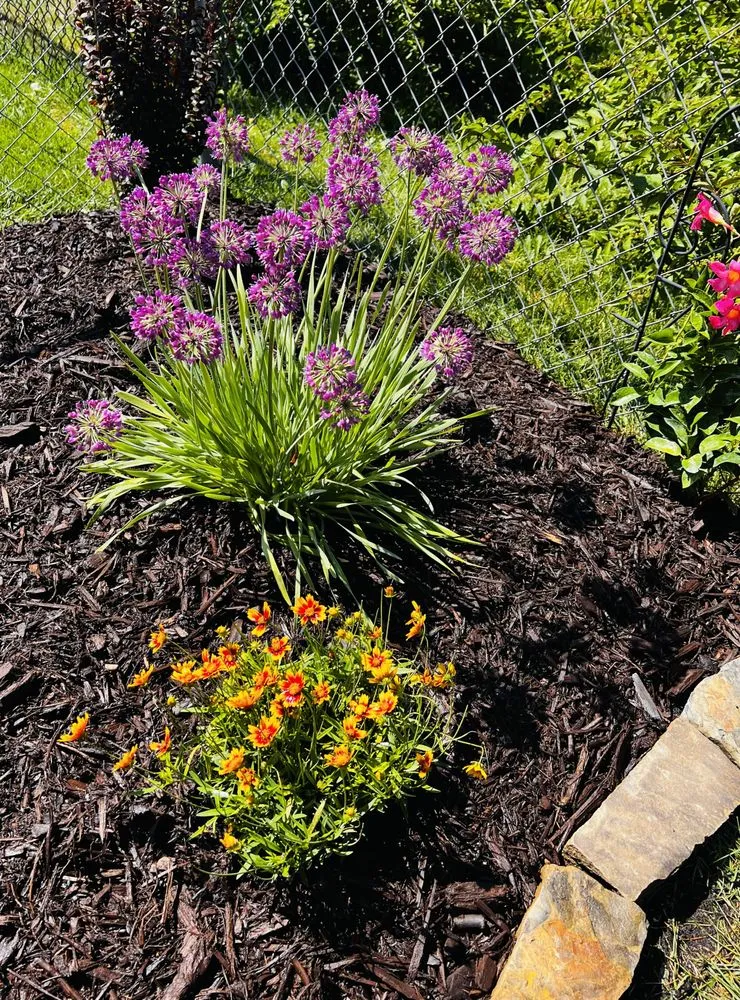 Local lawn mowing service in Lincoln, NE by Rain, Sun & Us Landscaping