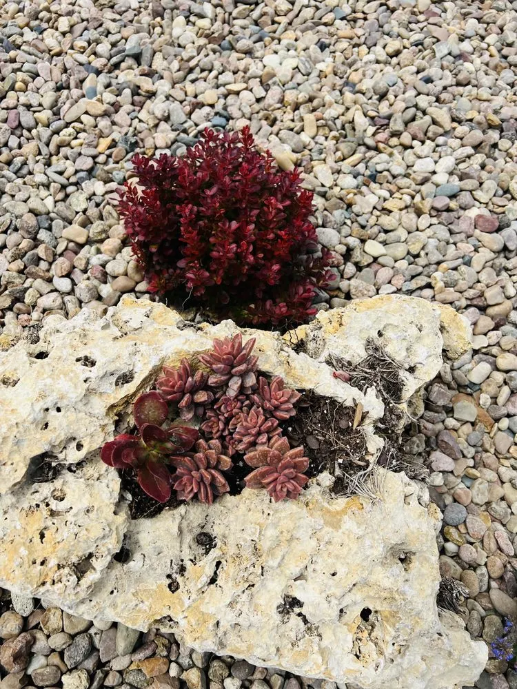 Trusted outdoor landscaping with custom design across Lincoln, NE - Rain, Sun & Us Landscaping