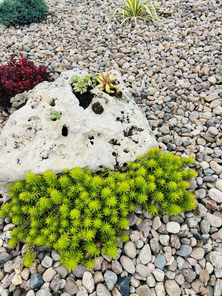 Reliable landscaping services with custom design across Lincoln, NE - Rain, Sun & Us Landscaping