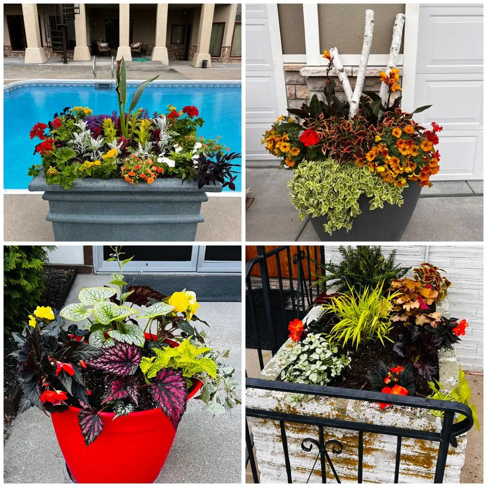 Professional lawn mowing service in Lincoln, NE by Rain, Sun & Us Landscaping