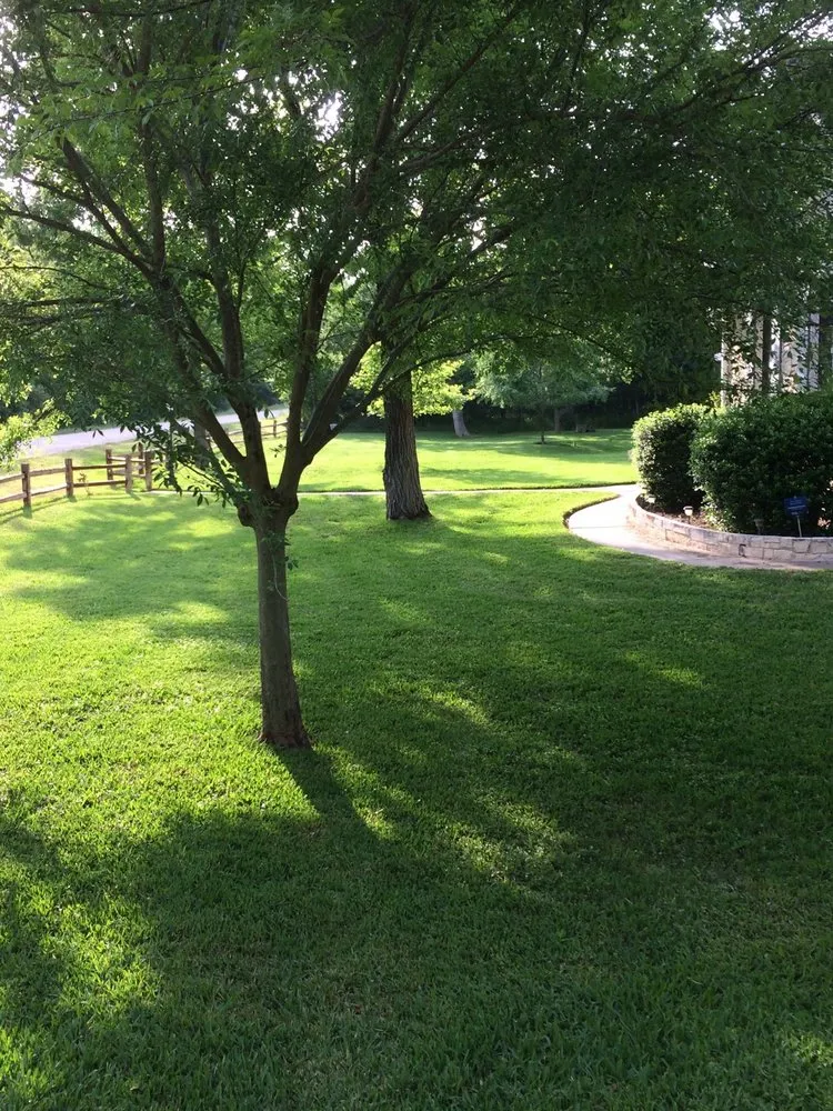 Affordable yard maintenance for homes in Smithville, TX by Rain Texas Landscape Service