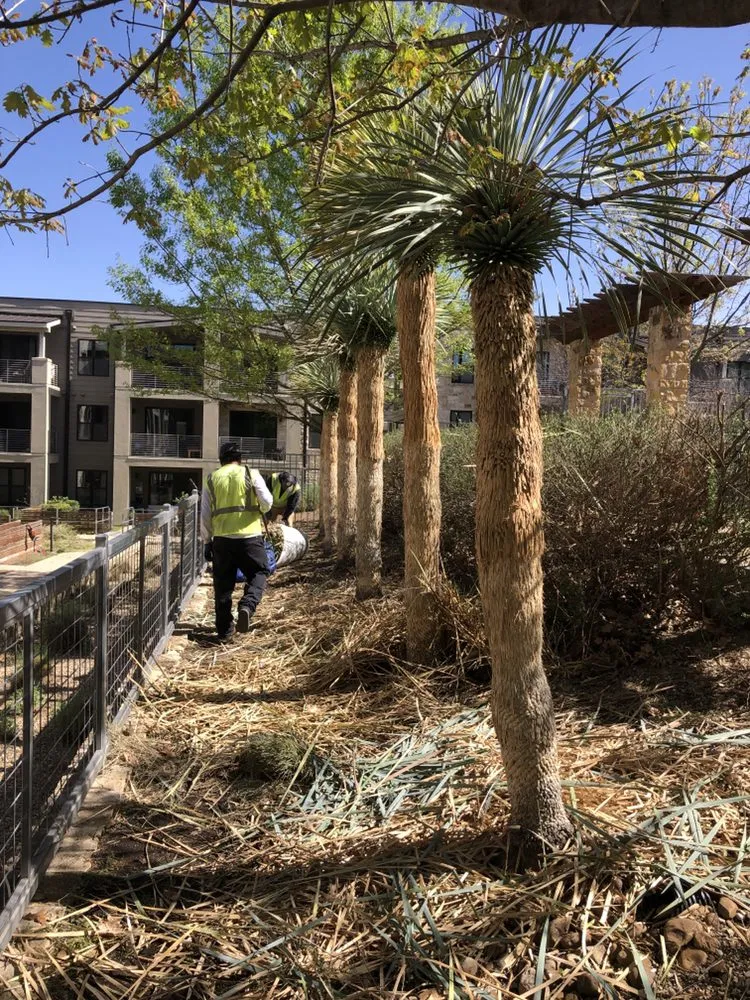 Local outdoor landscaping experts serving Smithville, TX - Rain Texas Landscape Service