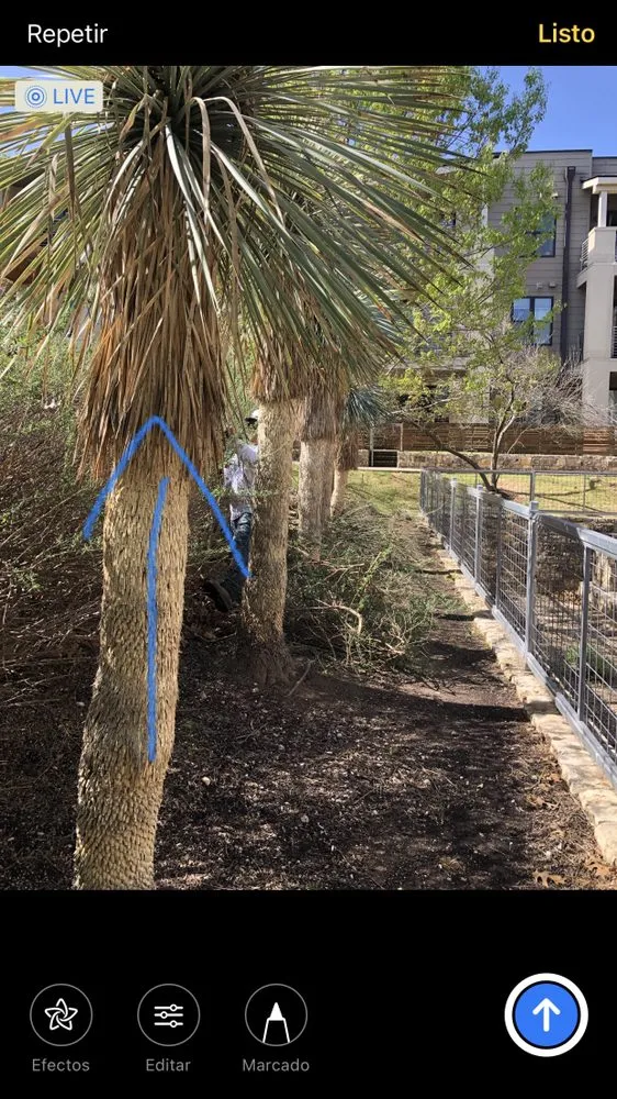 Trusted landscape installation in Smithville, TX by Rain Texas Landscape Service