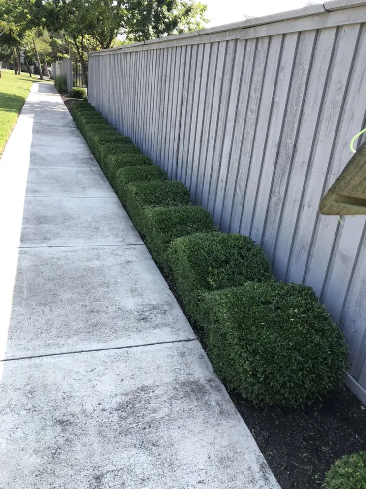 Trusted lawn mowing service in Smithville, TX by Rain Texas Landscape Service