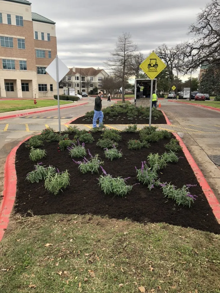 Trusted yard cleanup service for beautiful yards in Smithville, TX by Rain Texas Landscape Service