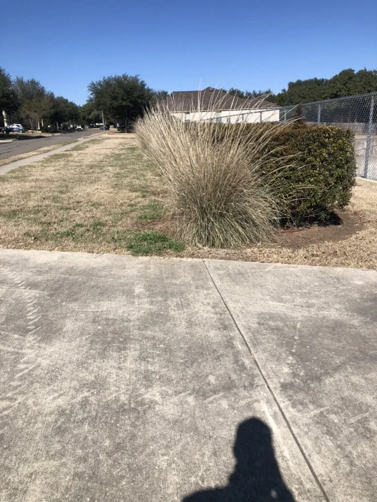 Reliable landscape installation for year-round maintenance in Smithville, TX by Rain Texas Landscape Service