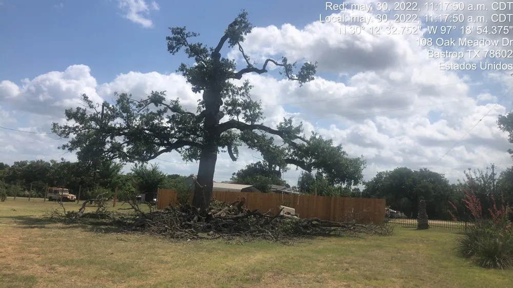 Expert landscape installation in Smithville, TX - Rain Texas Landscape Service