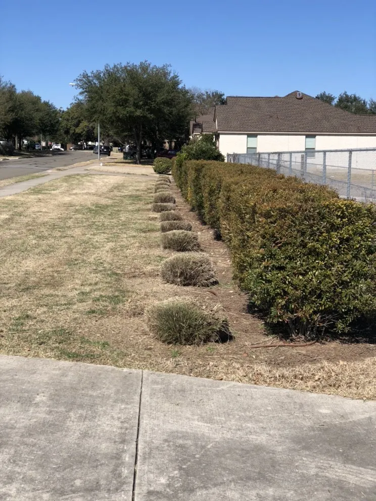 Reliable landscaping services with custom design across Smithville, TX - Rain Texas Landscape Service
