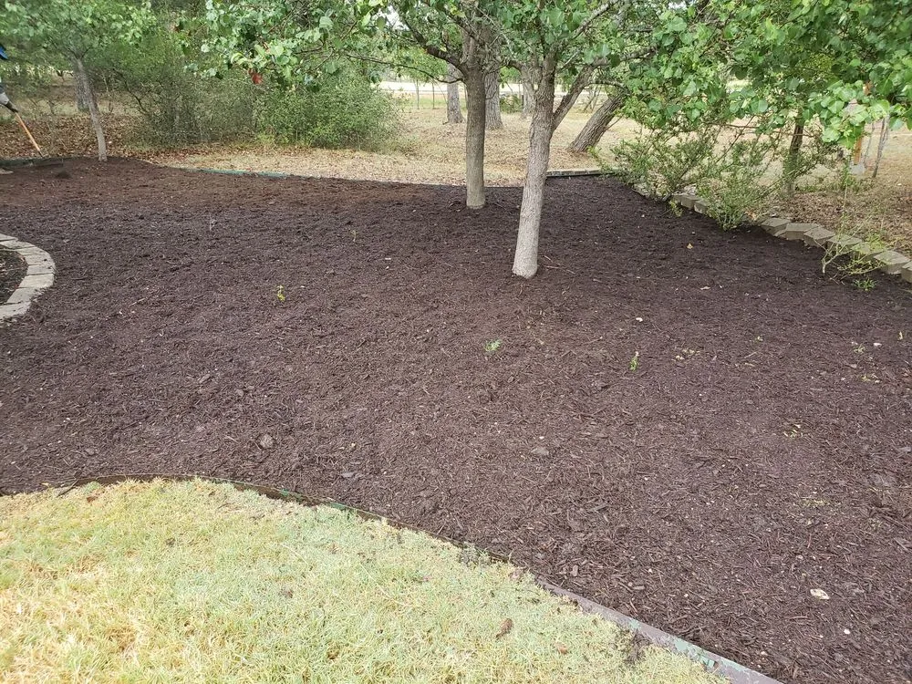 Affordable landscape design in Smithville, TX by Rain Texas Landscape Service