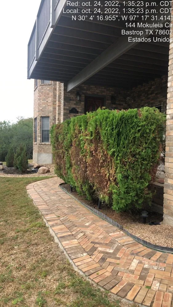Top-rated outdoor landscaping experts serving Smithville, TX - Rain Texas Landscape Service
