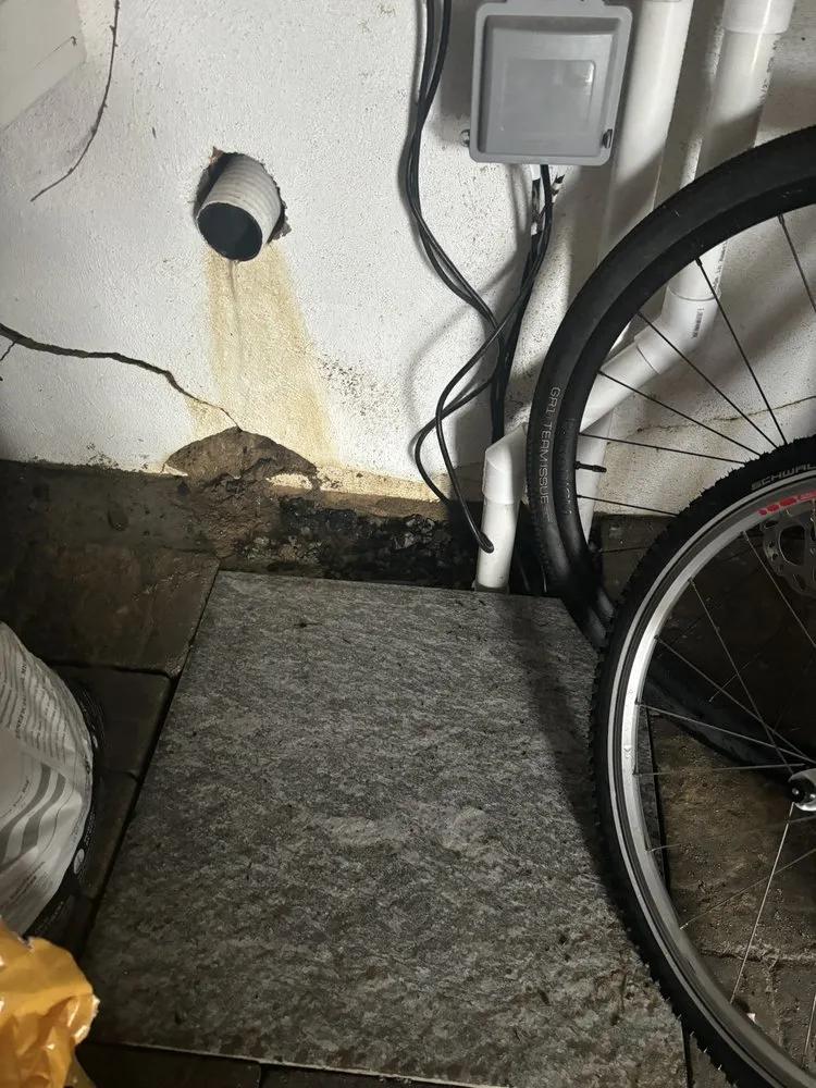 Professional outdoor landscaping in Santee, CA by Rain Water Systems