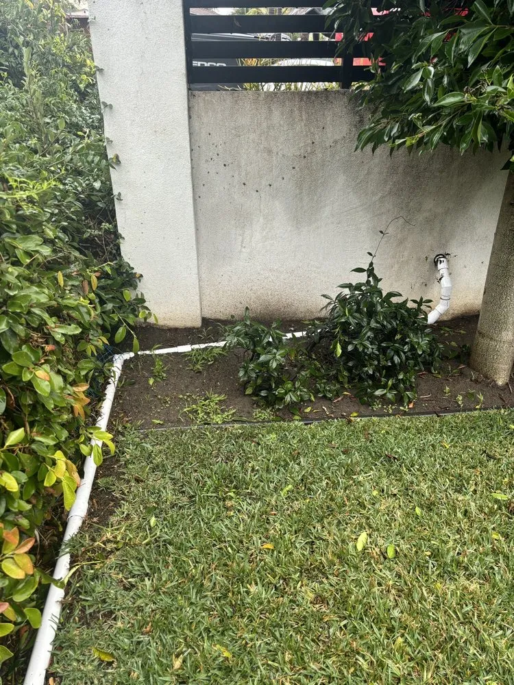 Custom landscape design with custom design across Santee, CA - Rain Water Systems