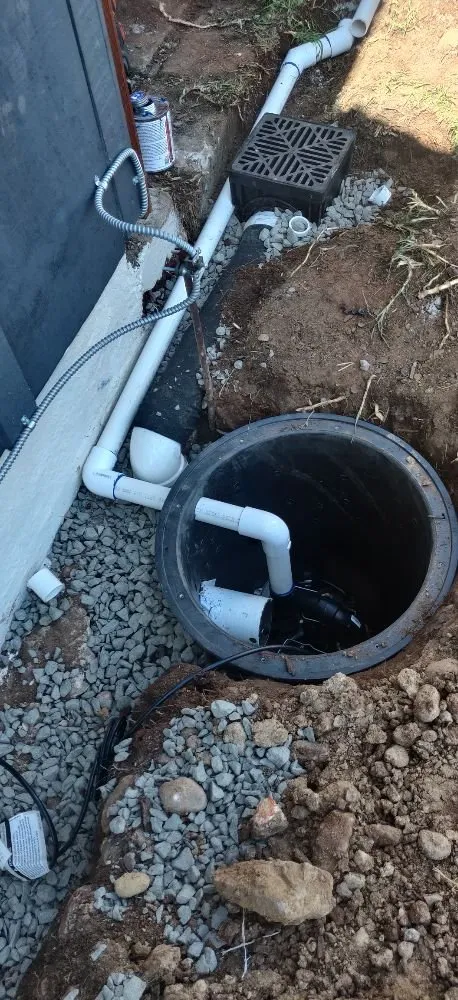 Reliable lawn care service in Santee, CA by Rain Water Systems