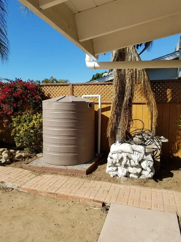 Reliable yard cleanup service in Santee, CA by Rain Water Systems