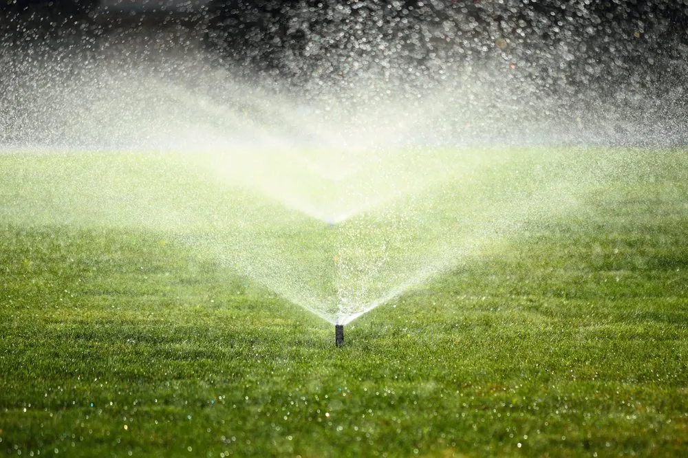 Top-rated outdoor landscaping in Tyler, TX by Rainboom Irrigation Services