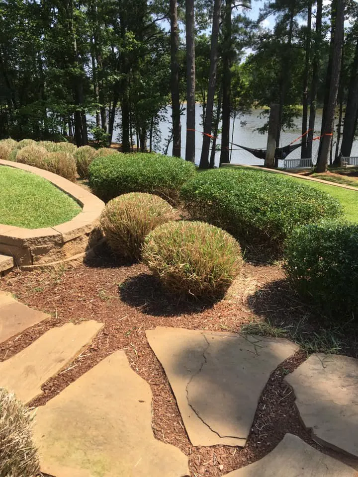 Expert landscaping services in Tyler, TX by Rainboom Irrigation Services