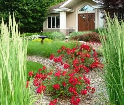 Trusted yard cleanup service for beautiful yards in Naperville, IL by Rainbow Garden Designs