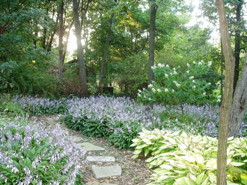 Affordable lawn care service for residential properties in Naperville, IL by Rainbow Garden Designs