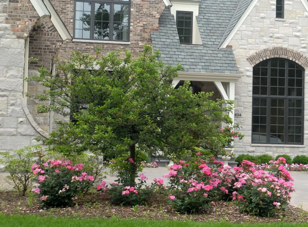 Affordable yard cleanup service in Naperville, IL by Rainbow Garden Designs