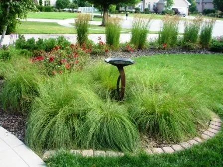 Professional lawn mowing service for year-round maintenance in Naperville, IL by Rainbow Garden Designs