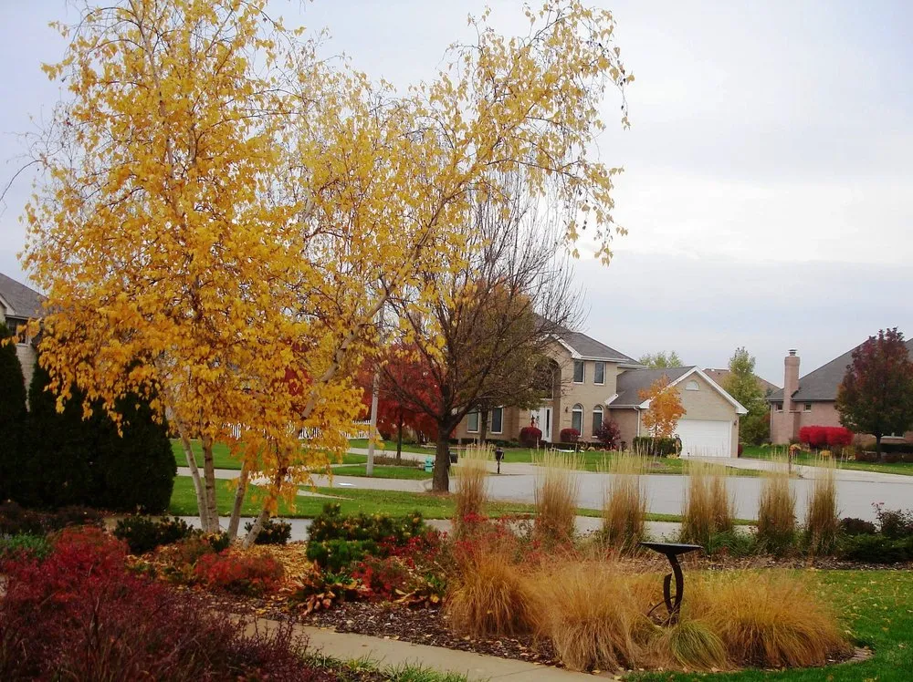 Trusted garden landscaping in Naperville, IL - Rainbow Garden Designs