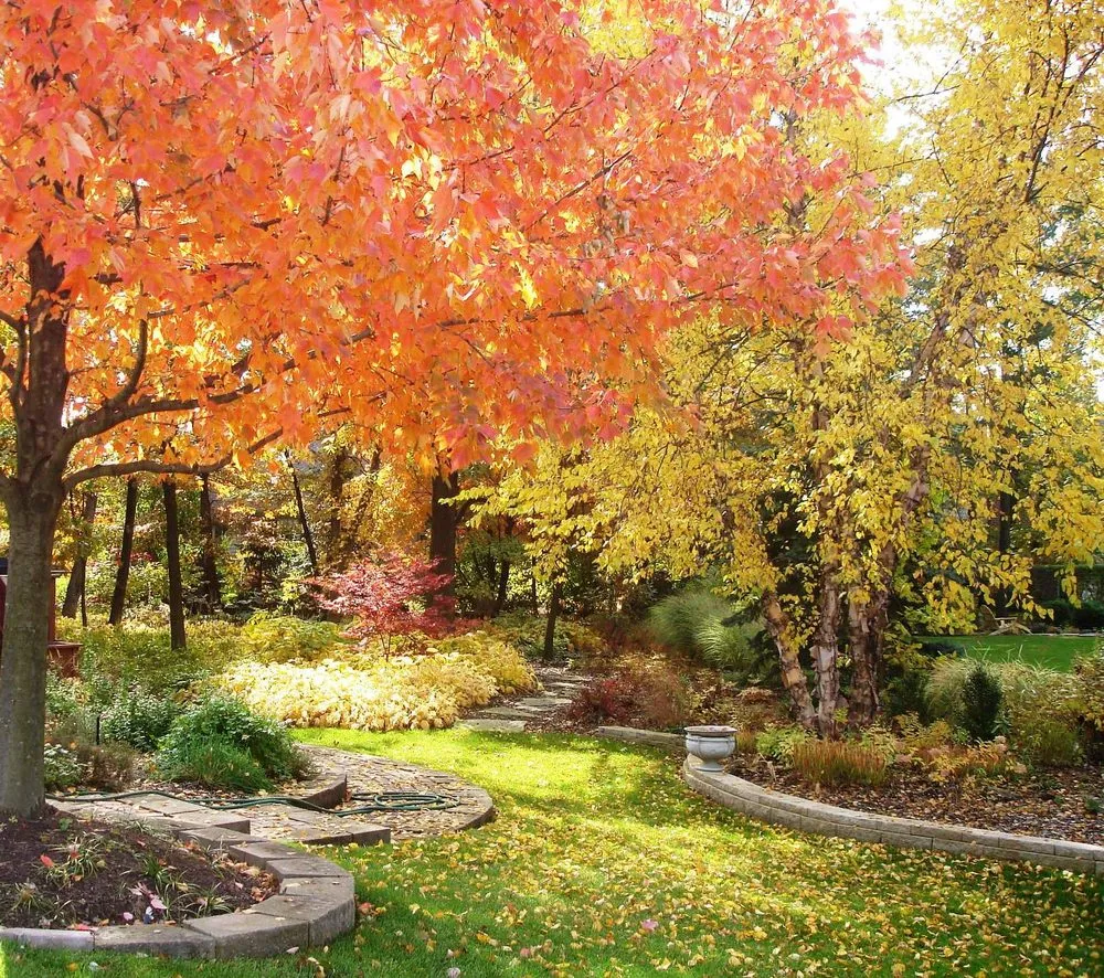 Local yard maintenance in Naperville, IL by Rainbow Garden Designs