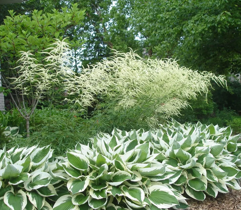 Professional landscape installation experts serving Naperville, IL - Rainbow Garden Designs