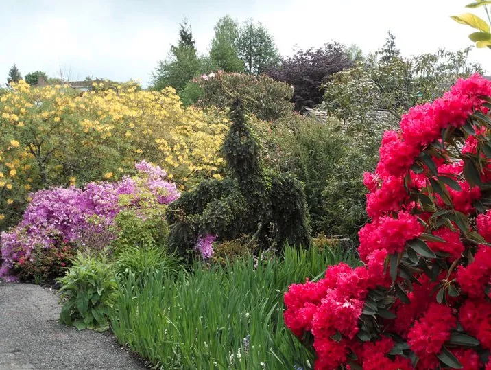 Reliable lawn care service for residential properties across Everett, WA - Rainbow Gardening & Landscaping