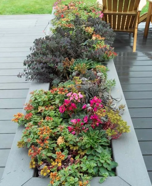 Custom yard maintenance experts serving Everett, WA - Rainbow Gardening & Landscaping