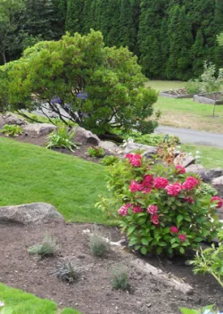 Professional landscape design in Everett, WA by Rainbow Gardening & Landscaping