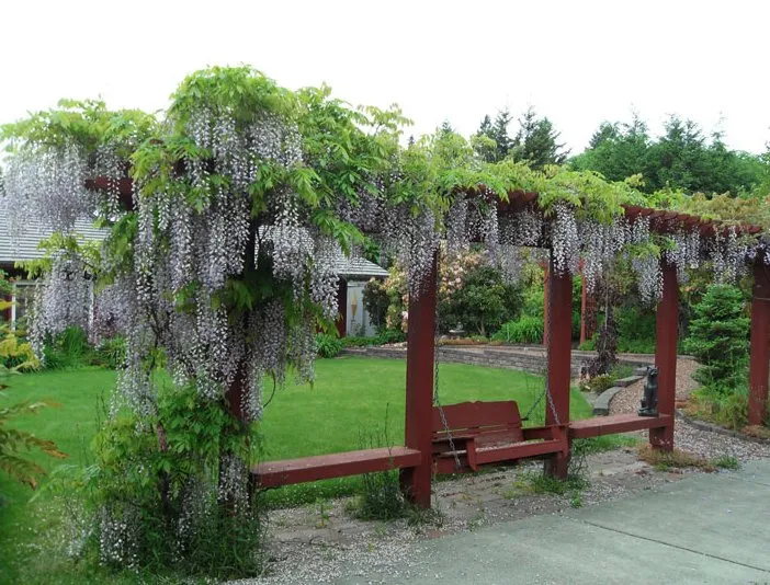 Reliable lawn mowing service for outdoor upgrades in Everett, WA by Rainbow Gardening & Landscaping